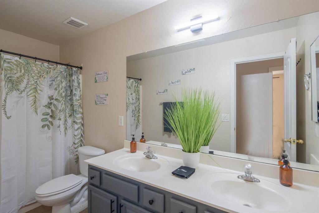 Tranquil Oasis: Experience Luxury Living! * Phoenix